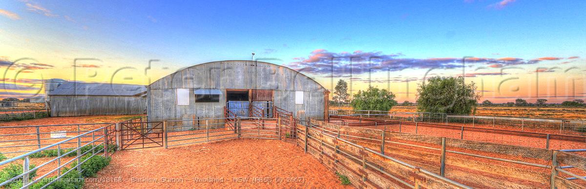 Peter Bellingham Photography Bucklow Station - Woolshed - NSW (PB5D 00 2667)
